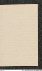 Seite 19, Tagebuch "1919 | Lang-Mannersdorf | Heft 2" (NHMW-PRAE-BBB-08)